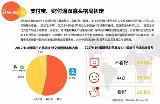2017上半年中国第三方移动支付市场研究报告 高清版解析